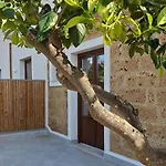 Asmara 10 * Trapani